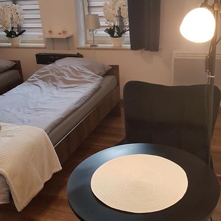 Komfortowy Apartament W Centrum Nowego Sacza Nowy Sącz Zewnętrze zdjęcie