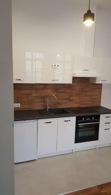 Komfortowy Apartament W Centrum Nowego Sacza Nowy Sącz Zewnętrze zdjęcie